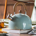 Whistling Cooker Top Kettle 3 Litre Brushed Stainless Steel with Wide Base
